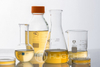 Bio Based Polyol for High Performance Adhesive