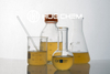 Bio Polyol for Electronic Glue
